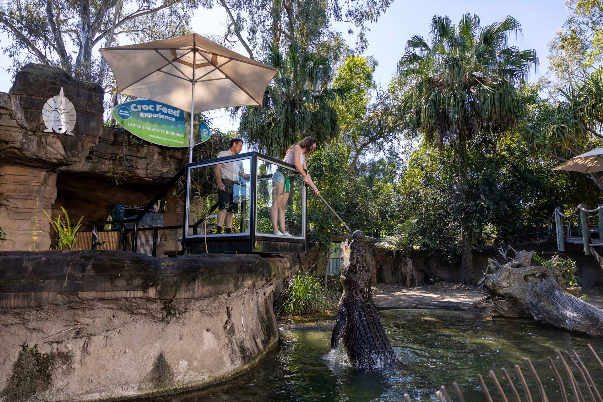 Croc Feed Experience