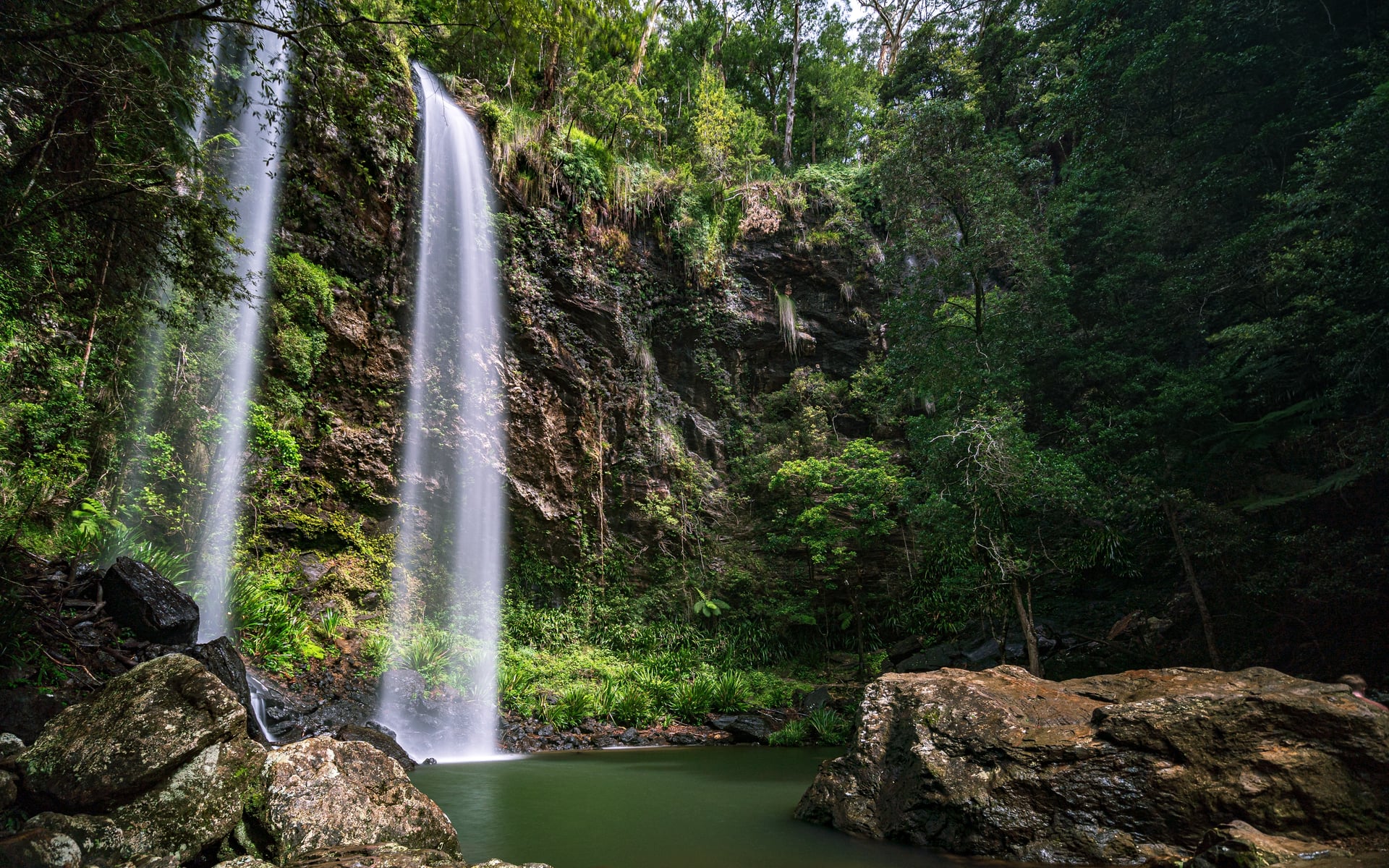 Springbrook
