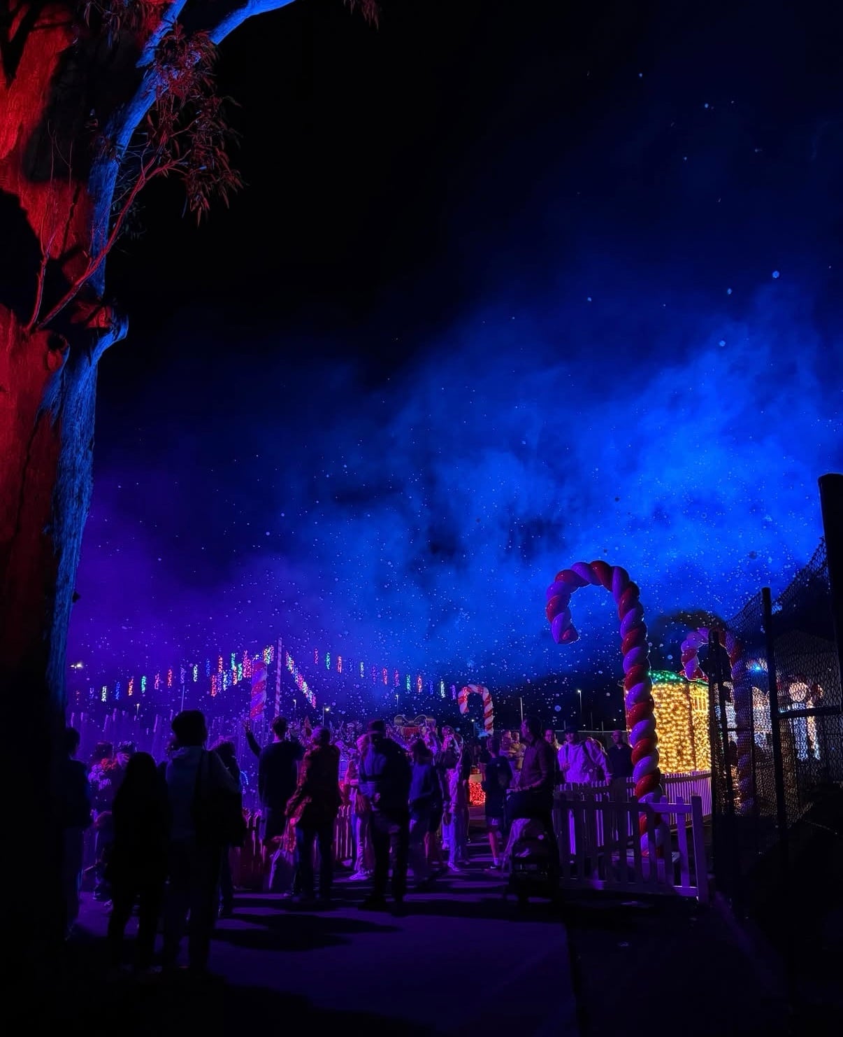 Dreamworld launches Christmas in July with heartwarming ‘Night of Dreams’ Charity Event